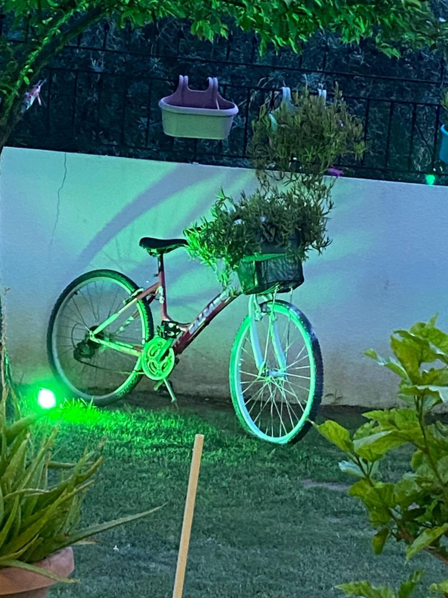 Villa Inci Çeşme Luaran gambar